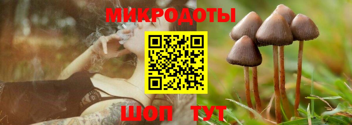 Галлюциногенные грибы прущие грибы Калуга